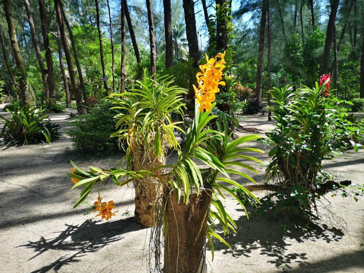 Hapla Beach Cottage Koh Kho Khao Island Eksteriør billede